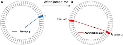 Enhanced positronium lifetime imaging through two-component reconstruction in time-of-flight positron emission tomography